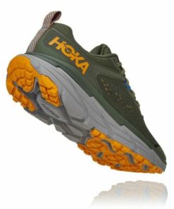 Paceofmind.shop85af74f1c2 3