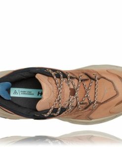 Paceofmind.shopb22f6ee22d 5